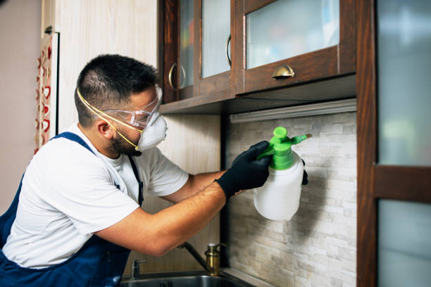 Best Pest Control Near Me  in Bluffton, IN