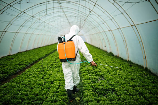 Best Mosquito Control Services  in Bluffton, IN