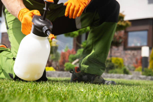 Best Pest Inspection Near Me  in Bluffton, IN