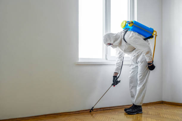 Best Affordable Pest Control Services  in Bluffton, IN