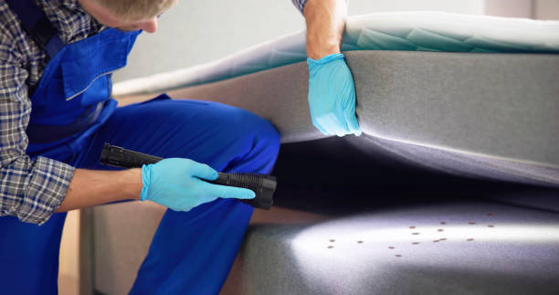 Best Affordable Pest Control Services  in Bluffton, IN