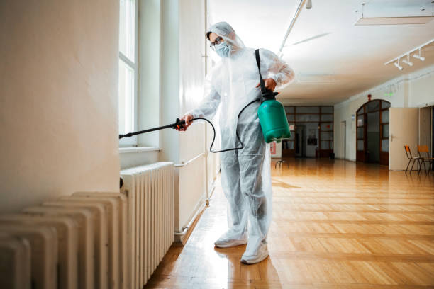 Best Local Pest Control Services  in Bluffton, IN