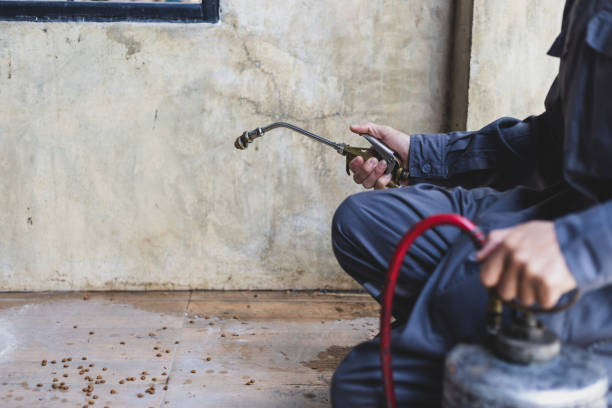 Best Termite Control Services  in Bluffton, IN