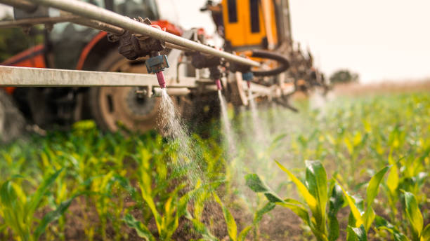 Reliable Bluffton, IN Pest Control Solutions
